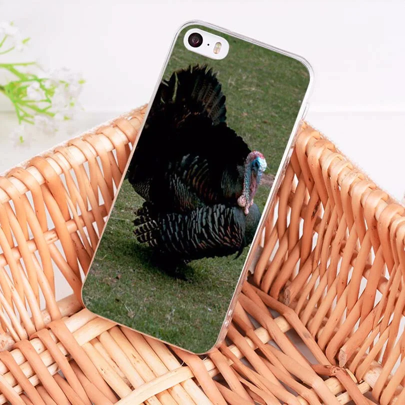 Мягкий ТПУ чехол MaiYaCa wild turkey thumb для iPhone 8 7 6 6S Plus X 5 5S SE 11pro max | Мобильные телефоны и