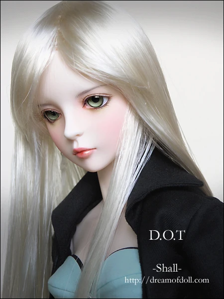 Бесплатный макияж и глаза! Dod shall ver. B высокое качество 1/3 Девушка bjd модельный манекен лучший подарок