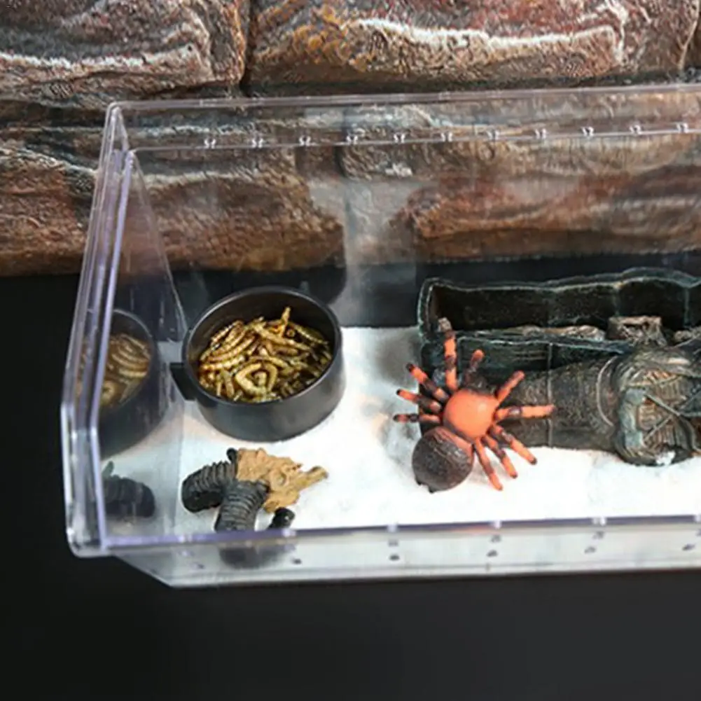 Топ продаж ящик для рептилий террариум прочный прозрачный акриловый Разведение