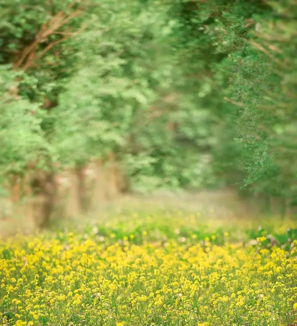 LIFE MAGIC BOX фон для фотосъемки с изображением цветов канолы моря Cm-3869 | Электроника