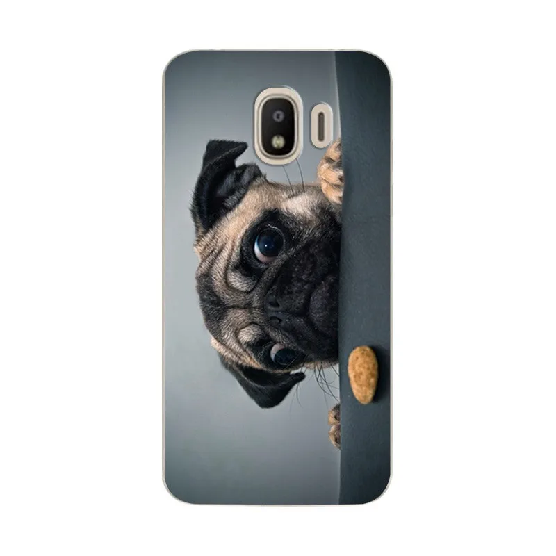 Мягкий чехол для телефона из ТПУ Samsung J2 Pro 2018 SM-J250F с красочным рисунком новинка J2Pro