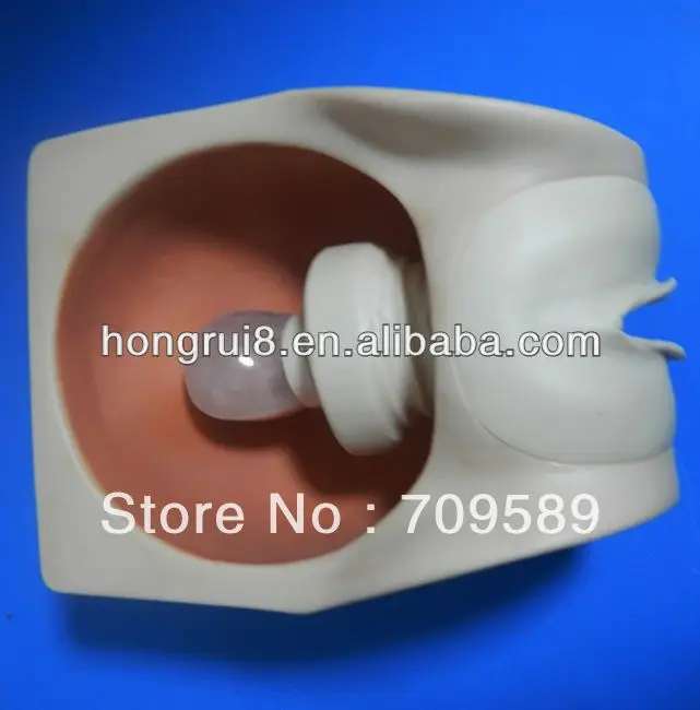 Обучающий симулятор по стандарту ISO IUD тренировочная модель внуатурального