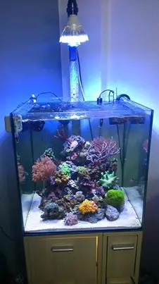 

10pcs/lot LED Aquarium lamp 18w led grow light Coral Reef led light customize colors led lamp PAR38 for sps lps