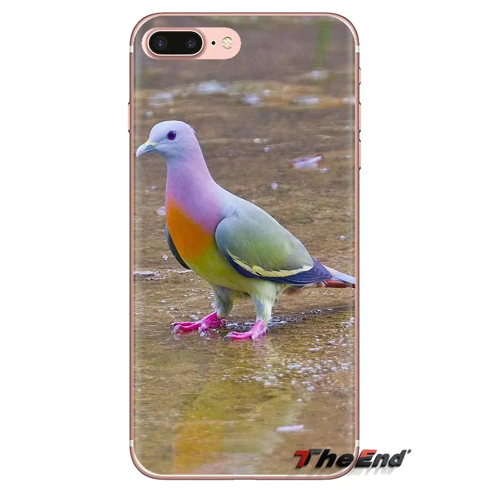 For Xiaomi Redmi 4A S2 Note 3 3S 4 4X 5 Plus 6 7 6A Pro Pocophone F1 Silicone Phone Skin Cover Pastel Pigeon Free beautiful bird |