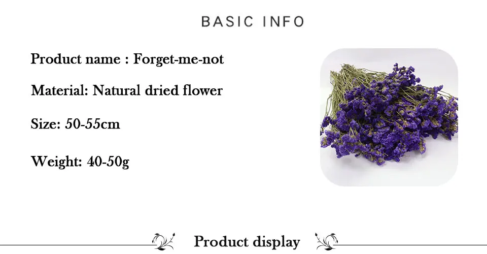 55 см натуральный воздушный сушеный Forget-me-not букет из сушеных цветов Рождественские Свадебные украшения цветы семейные вечерние композиции цветов