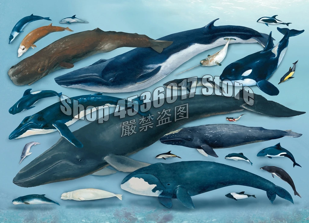 

5D Diy Diamond Painting Full Diamond Mosaic Drill Icons 3D Diamond Embroidery Rhinestones Whales & Dolphins Art Home Decor Gifts