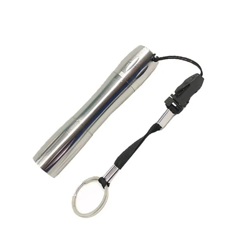 1 Вт Светодиодный Мини Жесткий свет небольшой брелок фонарик Медицинский внешний