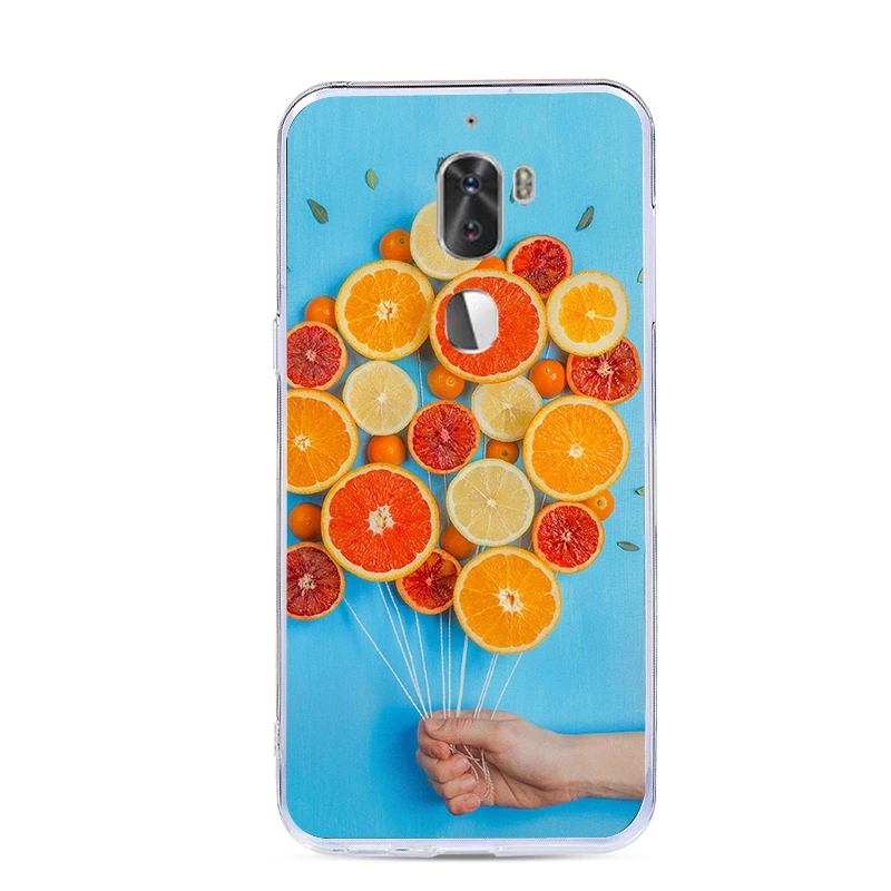 39 J& R чехол для телефона с рисунком для LeTV LeEco Cool 1 Dual Coolpad Cool1 LeRee Le 3 Le3 5,5 дюймов Мягкий ТПУ силиконовый чехол-накладка s - Цвет: 39