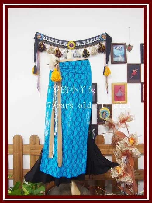 

Lace Belly Dance Skirt DAA21