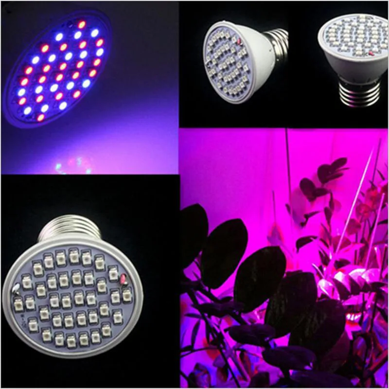 

36 LEDs E27 LED Plant Grow Light Bulbs Lamp Red+Blue Lights green house hydro Systems for Flower Plant Vegetable Indoor Growth