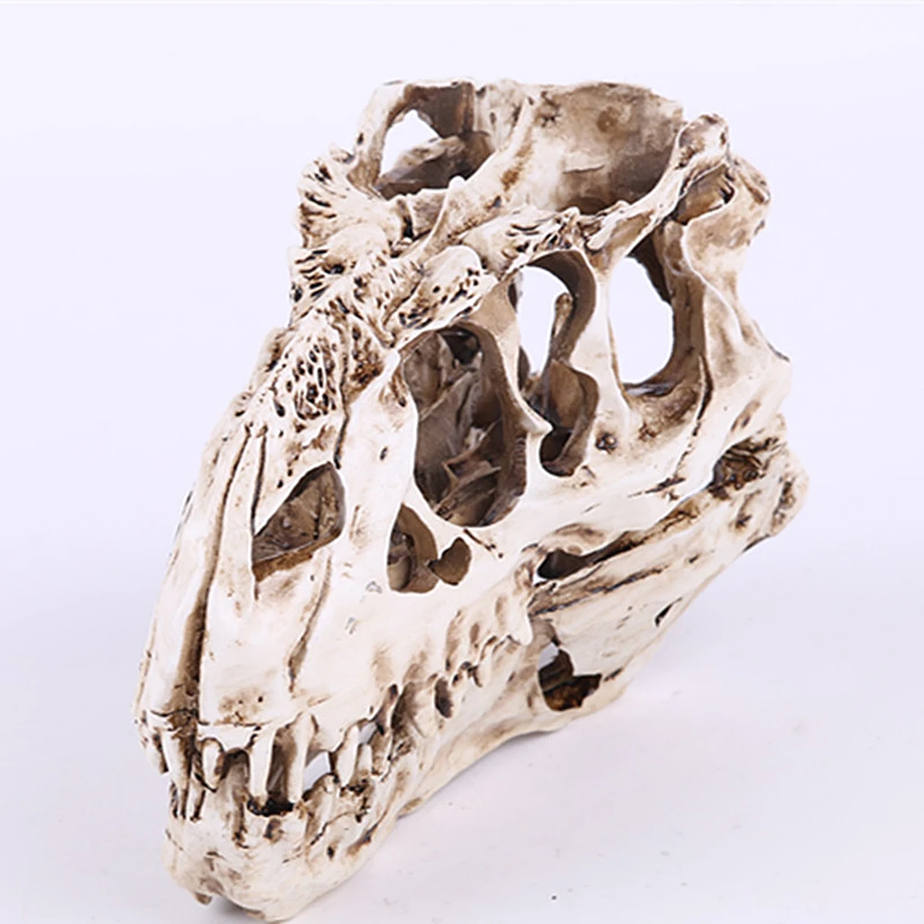 Resin T-rex Skull Replica Skeleton Figurine Collection Bar Decor White | Дом и сад