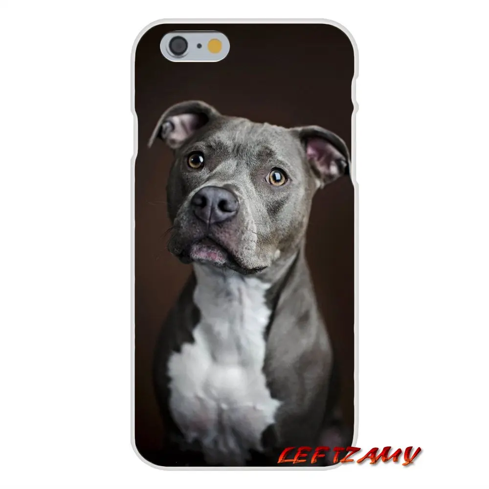 Аксессуары для телефона Чехлы iPhone X 4 4S 5 5S 5C SE 6 6S 7 8 Plus синий нос Pitbull Pomeranian DOG |