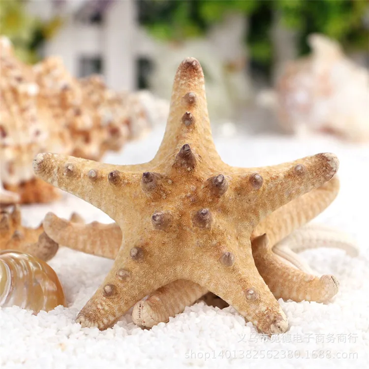5 шт./лот натуральные ремесла белый хлеб Морская ракушка звезда модные домашние