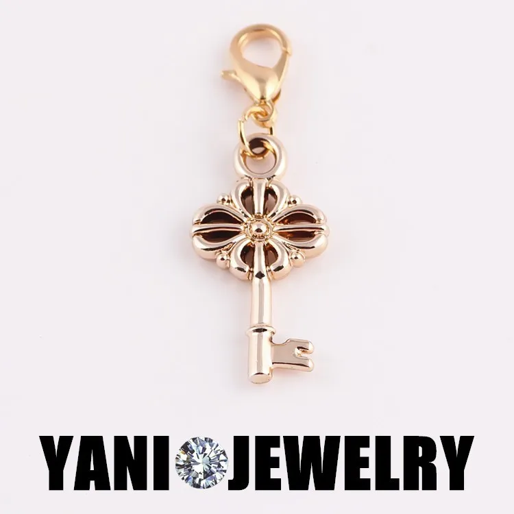 

20pcs/lot Free Shipping DIY Owl Key Charms Pendant With Lobster Clasp For Glass Memory Locket