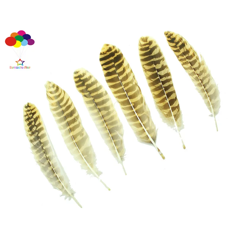 

10 . 100% 15-20 /6-8 Diy