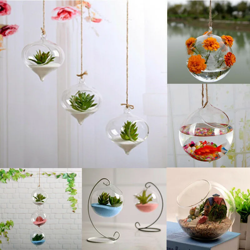 Прозрачная стеклянная подставка для цветов и растений подвесная ваза плантатор