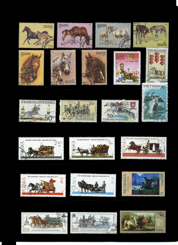 50 шт./лот почтовые марки животных Тема лошадь из всего мира с почтовыми марками