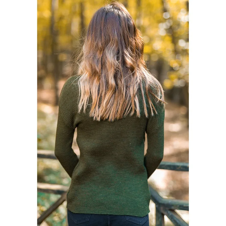 Basic Knit Turtleneck Sweater Women Warm Slim Autumn Winter Sweater Women Pullovers Kintwear Sweaters Female Pull Femme