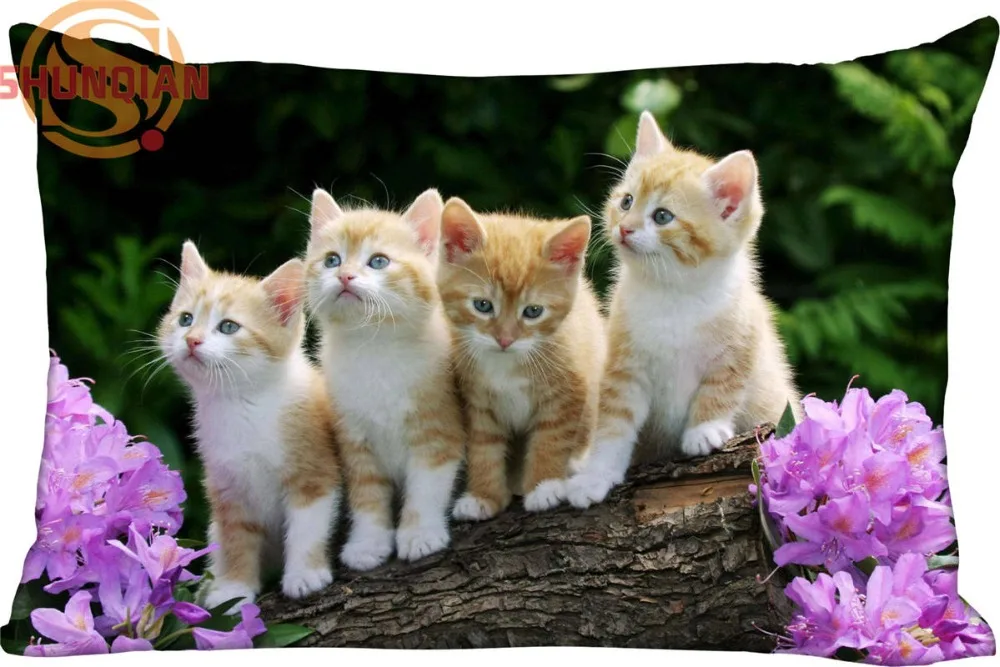 

New Custom Cute Cats 02 Pillowcase Zippered Rectangle Pillow Cover Cases Size 45X35cm,40x60cm,45X75cm,50X75cm(Two sides)