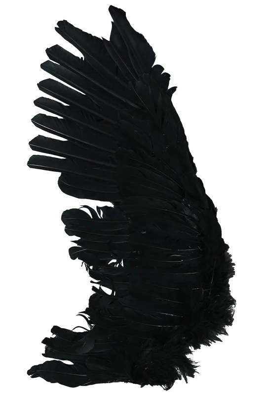 

Lovelive!Sunshine!! Aqours Kurosawa Dia Costume Black Wing Cosplay Props Mari Ohara Punk Rock Wing Prop Anime Cosplay Black Wing