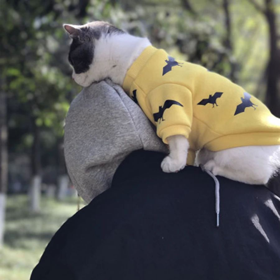 Кота одежда с героями мультфильмов для питомца костюм симпатичная модная