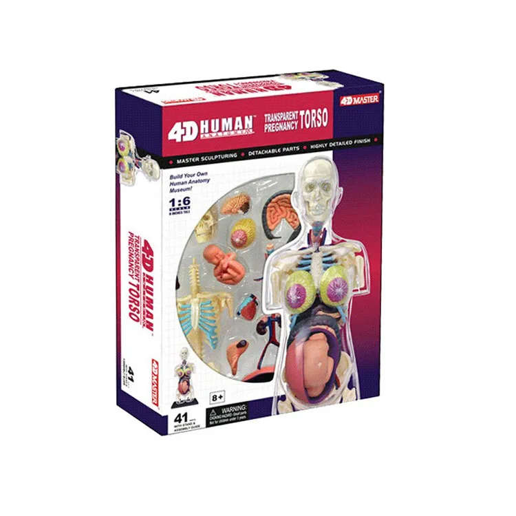 Обучающий Собранный 4d Скелет человеческого тела череп для изучения анатомии