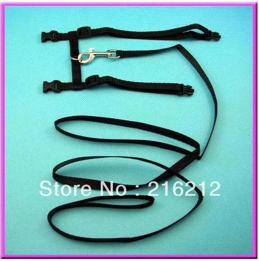 2 цвета регулируемый ремень котенка нейлоновый ошейник застежка поводок