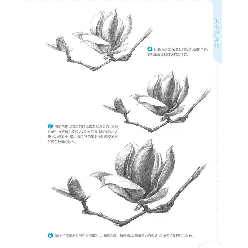 I Love To Draw Sketch Plants Sketch Technique Painting Book Zero 