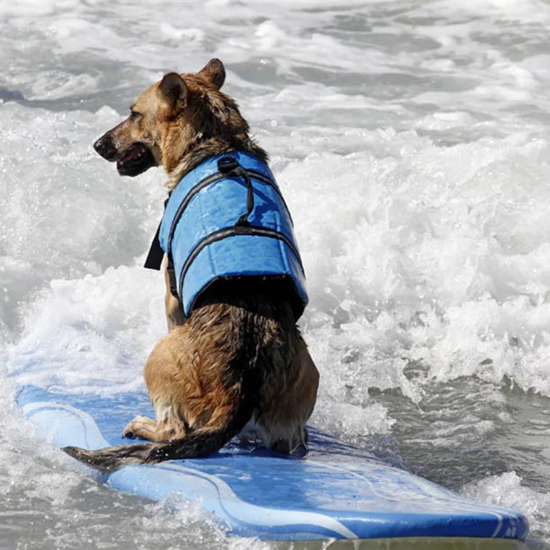 Крутая летняя одежда для домашних животных Экономная Спасательная куртка