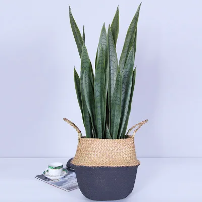 70 см цветок+ ваза Sansevieria trifasciata бонсай Тропическое растение высокое качество чувство руки зеленый суккуленты подарок украшение дома