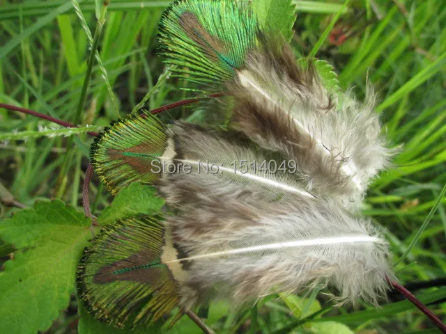 

Free shipping wholesale high quality 50pcs Scarce nature peacock feather 5-8cm/2-3inch Decoration diy orange hot