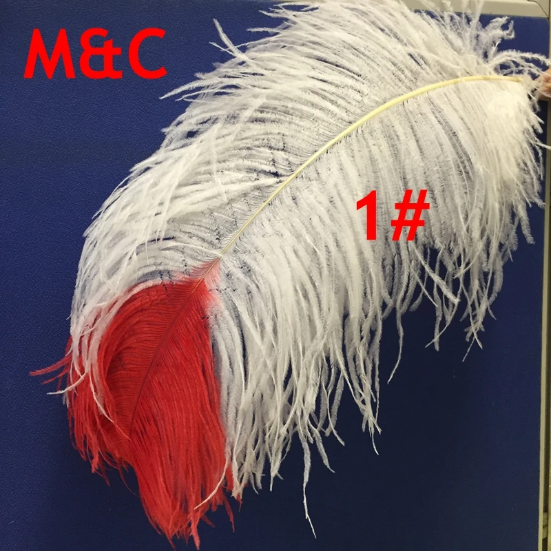 

Pack of 50pcs two color Dyed ostrich feather 50cm to 75cm long red tipped with white ostrich vase wedding plumes crafts