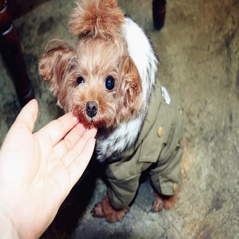 Зимнее хлопковое пальто для домашних животных одежда собак теплая маленьких