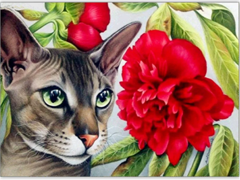 5D DIY Полная Алмазная картина с рисунками животных из мультфильмов, кошек, мозаичная вышивка с животными, вышивка крестиком, рукоделие, украшение - Цвет: m204