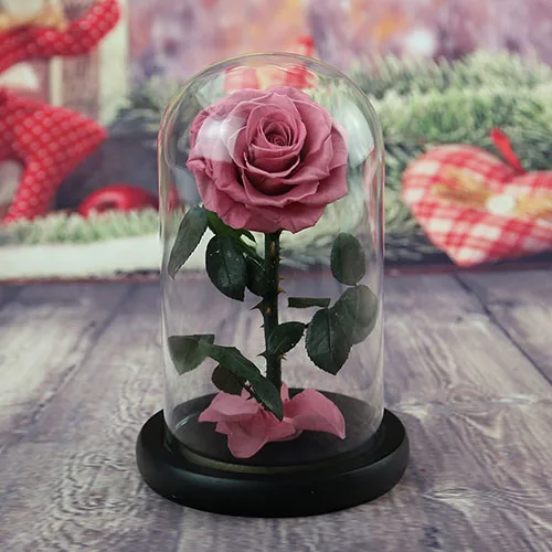rose red Мелдель 15*22 см, консервированные цветы, подарок, высокое качество, вечная роза в стеклянном куполе, подарок на свадьбу, день рождения, вечерние украшения для дома, Флорес - Цвет: rose red