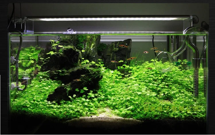 Диммируемая Светодиодная лампа для аквариума aquario, предназначенная для аквариумных растений, аксессуары для аквариума 30 см 40 см 50 см 60 см peixes tank