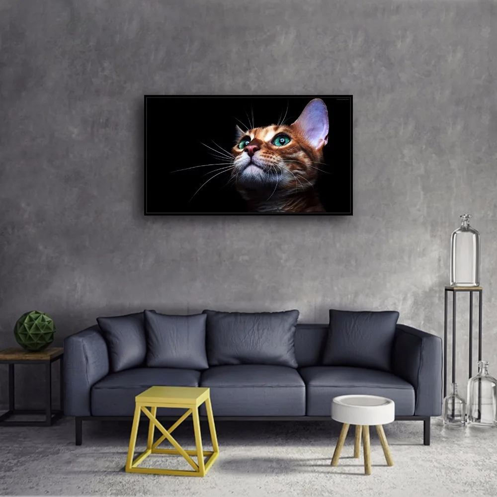 SR101087 Kitten Cute Natural Scenery Animal. HD Canvas Print Home decoration Living Room bedroom Wall pictures Art painting | Дом и сад