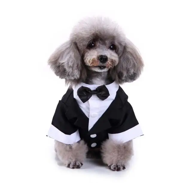Джентльменская Одежда для собак кошек принц Свадебный костюм милый Cachorro Mascotas