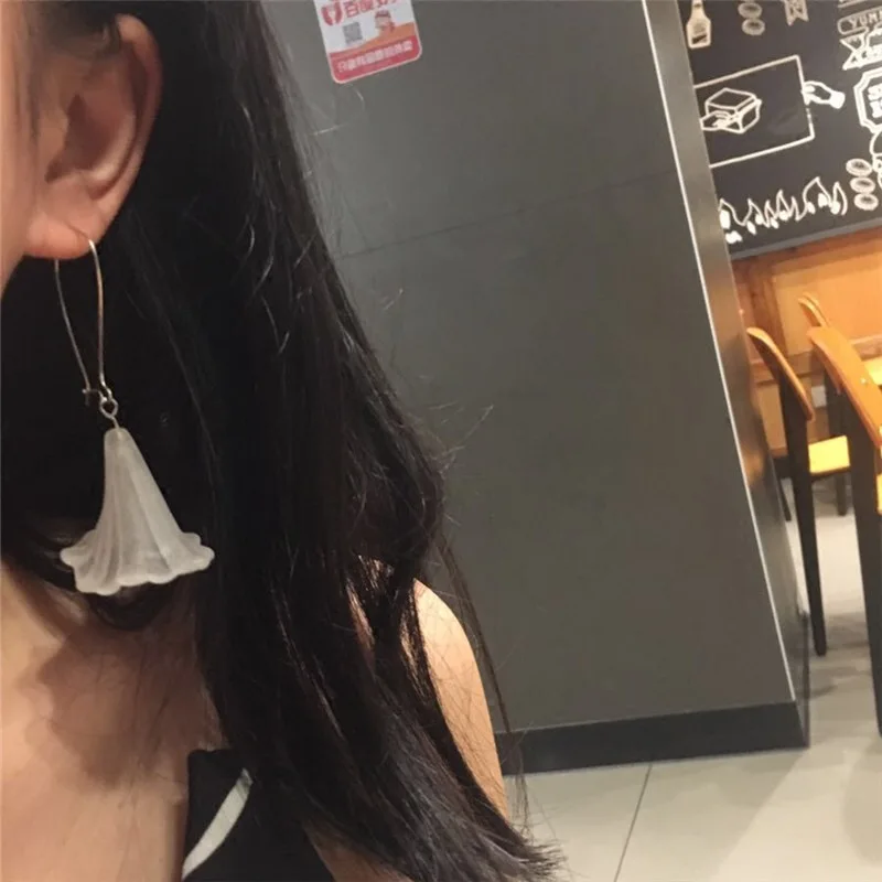 240 шт. Модные Акриловые разноцветные с отверстием матовые Цветочные бусины