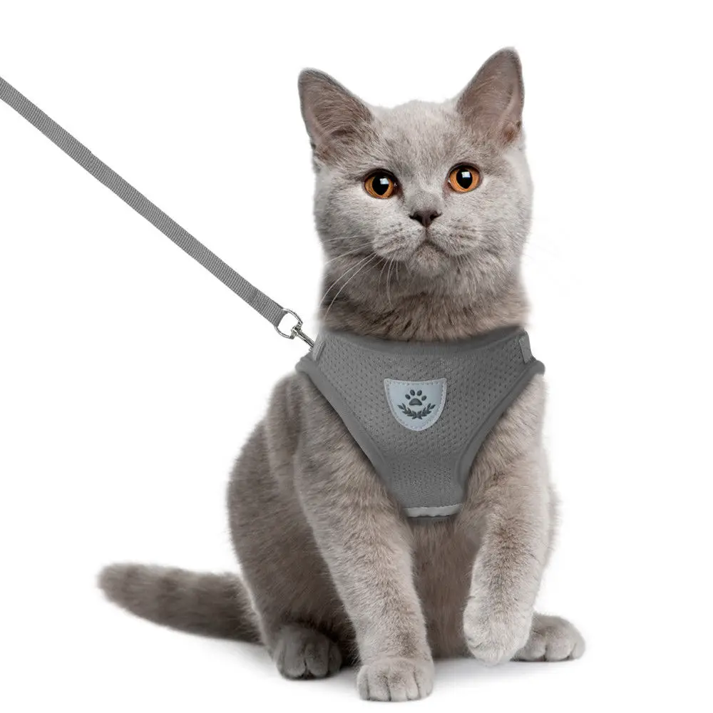 Dog Cat Walking Jacket Harness Leash Pets Puppy Kitten Clothes Adjustable Vest H