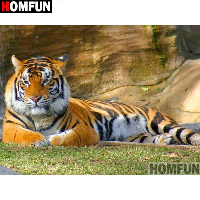 

Алмазная живопись HOMFUN «Тигр», алмазная вышивка 5D «сделай сам» с полными квадратными/круглыми стразами, вышивка крестиком, домашний декор, A19154
