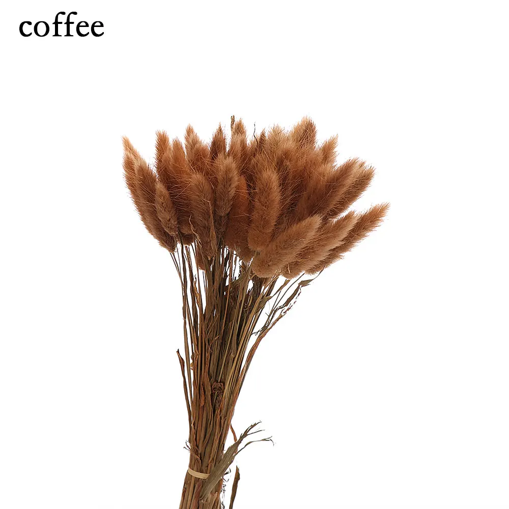 coffee 50 шт. сушеные натуральные Цветочные букеты Uraria Picta& Rabbit Tail трава букеты и красочные lagunus Ovatus букеты грозди стрельба - Цвет: coffee