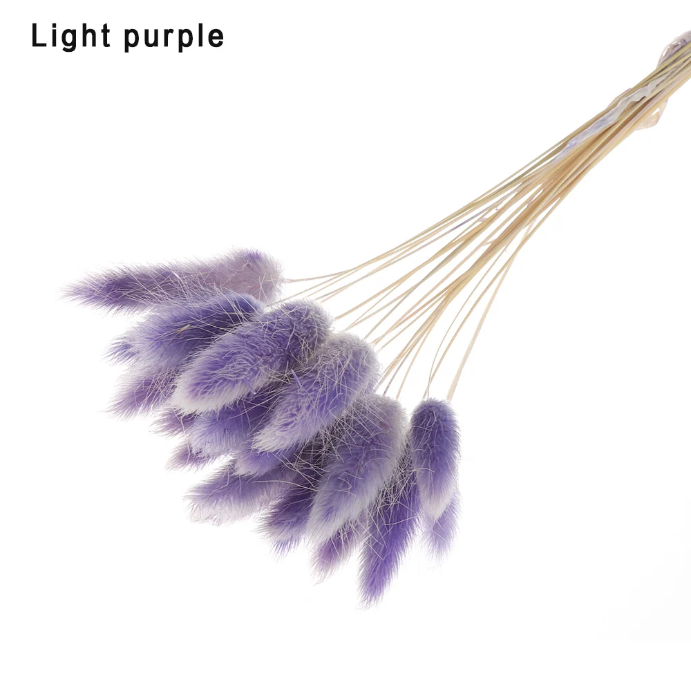 light purple 20 шт./лот, Натуральные сушеные цветы, цветные, lagunus Ovatus, настоящий букет цветов для дома, свадебные украшения, кроличий хвост, трава, букет - Цвет: light purple
