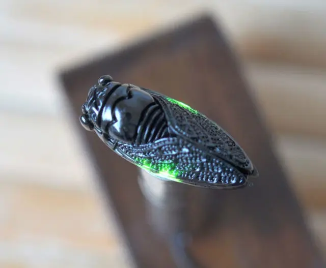 Природный камень МО блокбастер Цикада висят в Синьцзяне/отправить