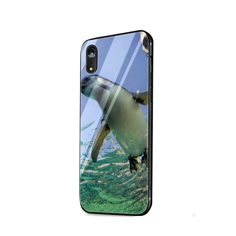 Чехол из закаленного стекла для iPhone 6 6S 7 8 Plus X XS Max XR 5 5S SE |