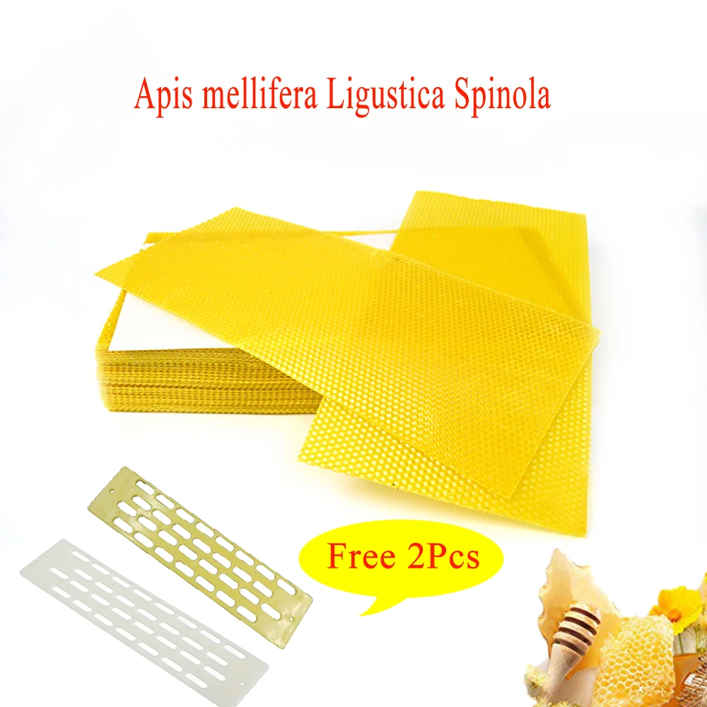 Профессиональные пчелиные восковые основания набор инструментов для пчел из 20