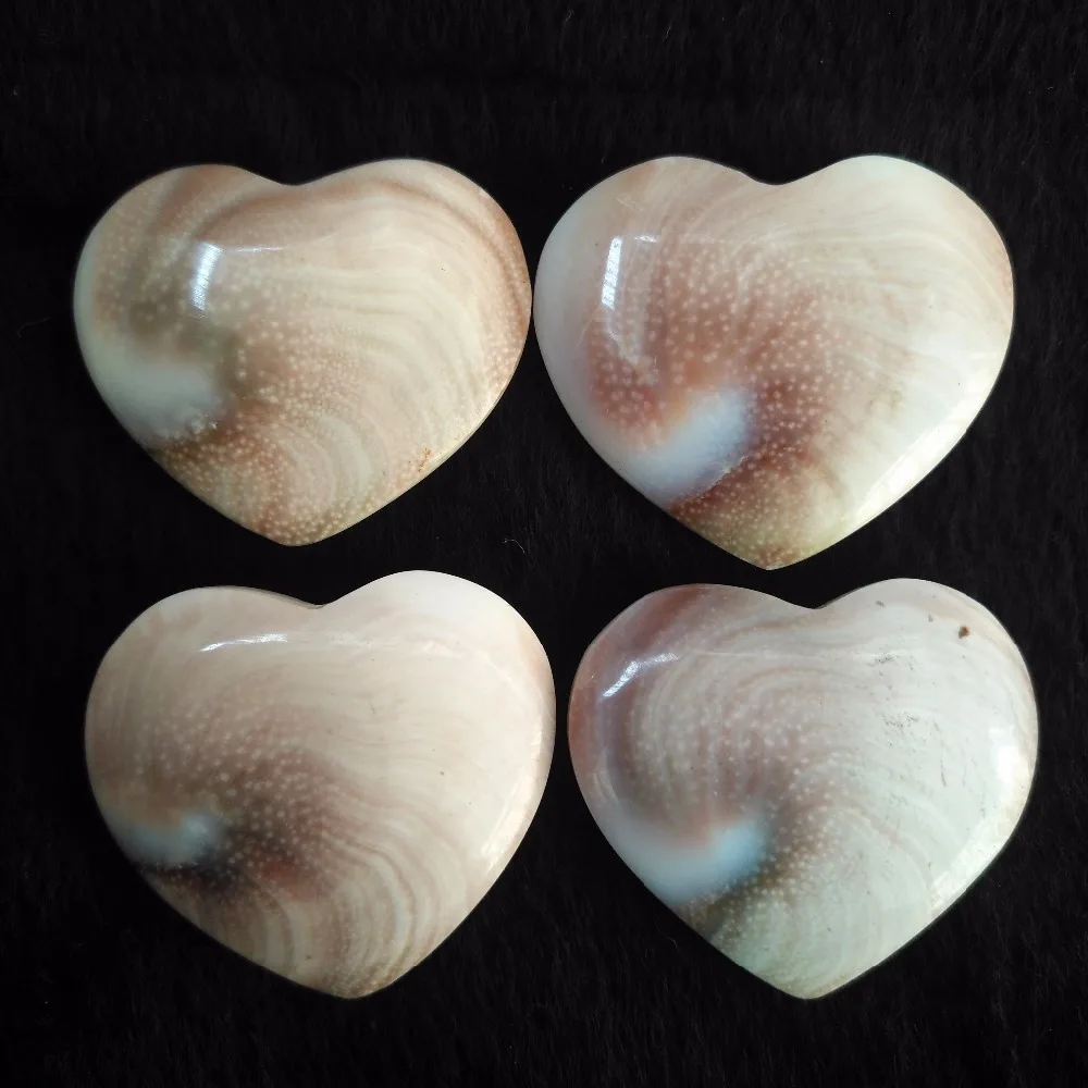 

Natural shells heart
