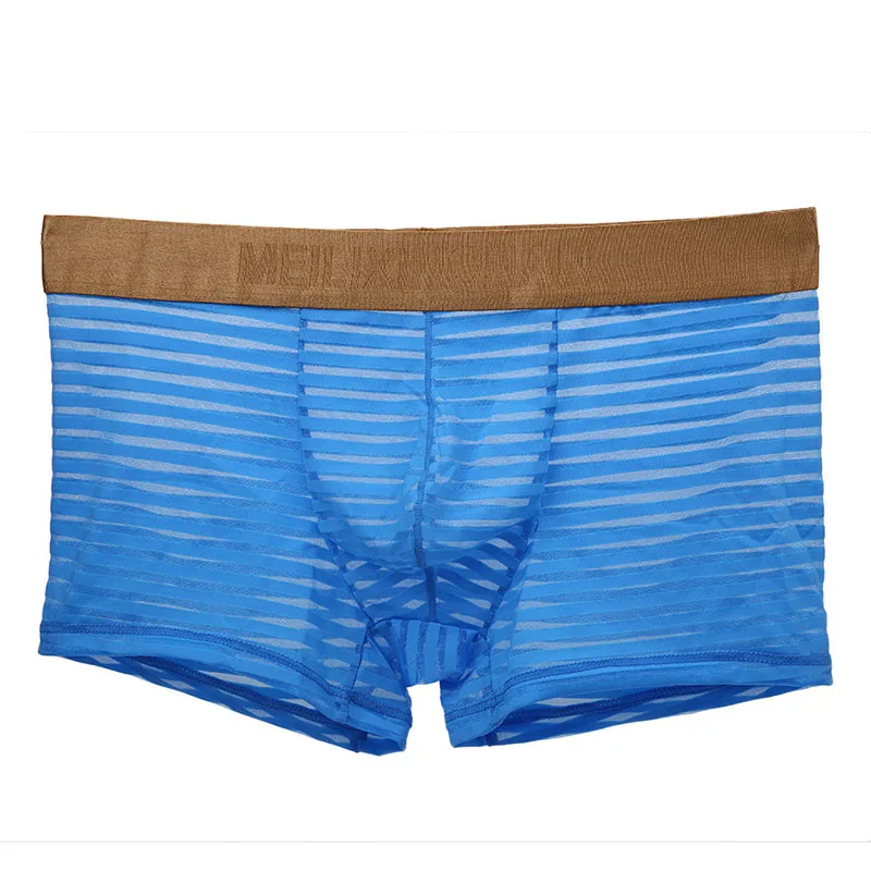 KWAN. Z нижнее белье для мужчин gay cueca полосатые сетчатые прозрачные мужские трусы-боксеры мужские боксеры calzoncillos hombre ropa interior - Цвет: Синий