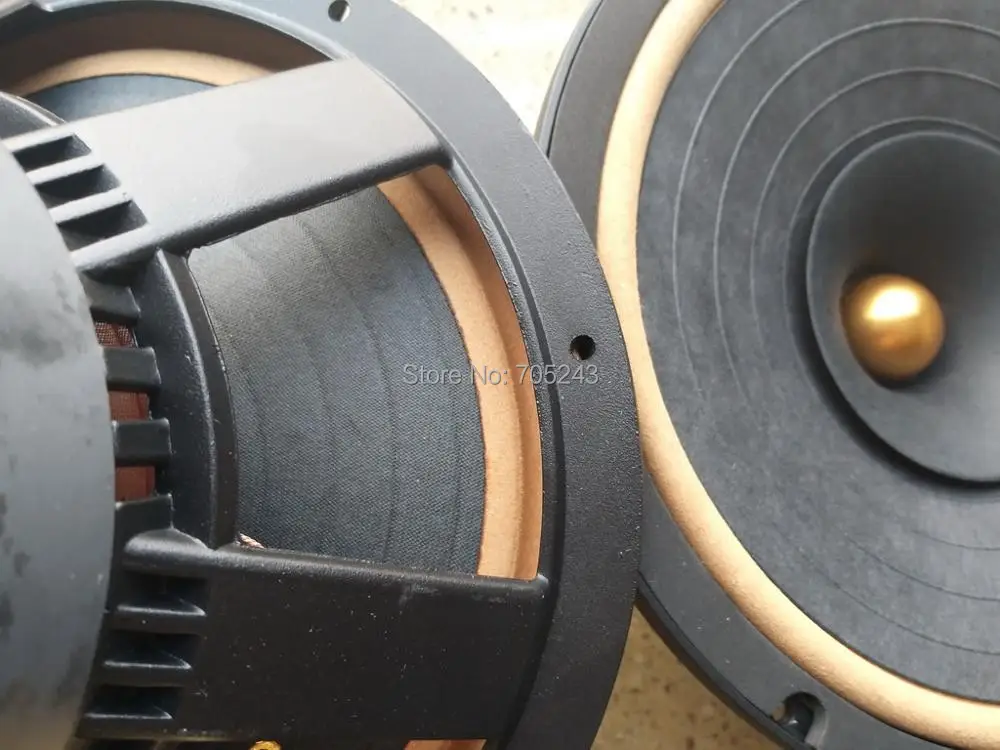 pair 2 two unit Melo David diaton P1010 hiend 10inch fullrange full range speaker 10inch