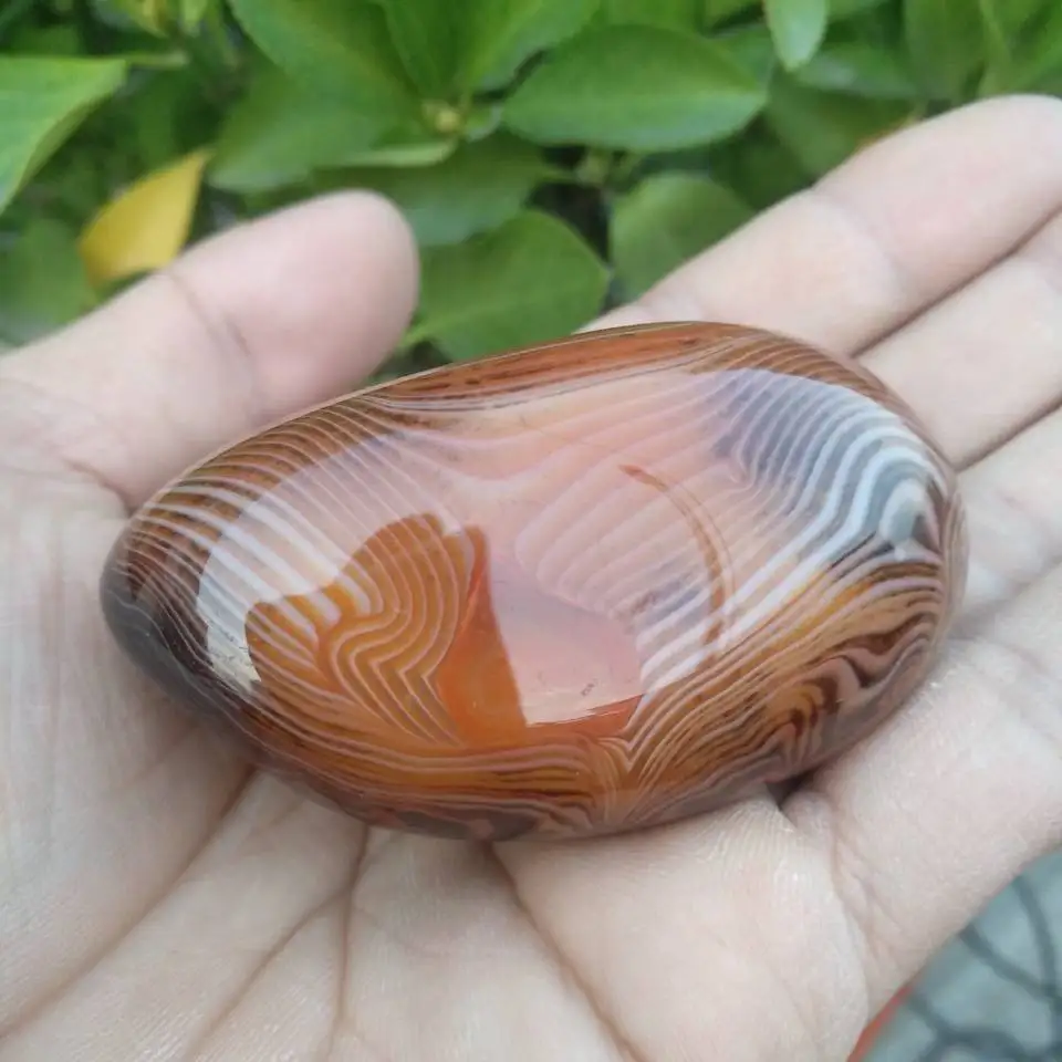 Натуральный полосчатый Агат Sardonyx полированный минерал окаменевшая пальма|Камни|